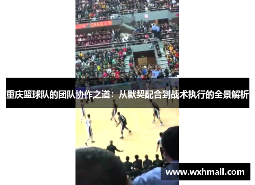 重庆篮球队的团队协作之道：从默契配合到战术执行的全景解析